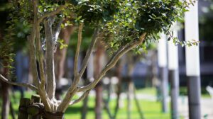 1月30日(木)にゼミ活動報告会を開催いたします!